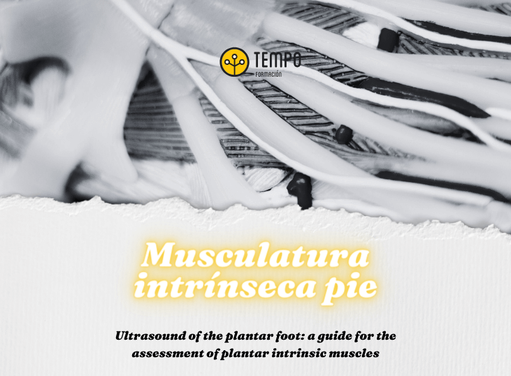 musculatura-intrinseca-del-pie-y-ecografia